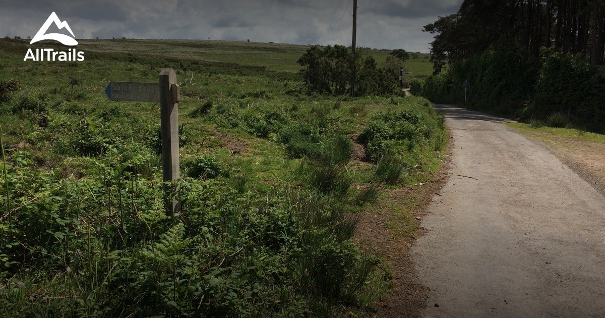 Best Trails, Walks, and Paths in South Molton AllTrails