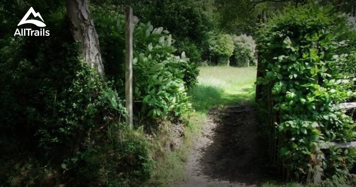 Best Trails near Forest Row, East Sussex England AllTrails