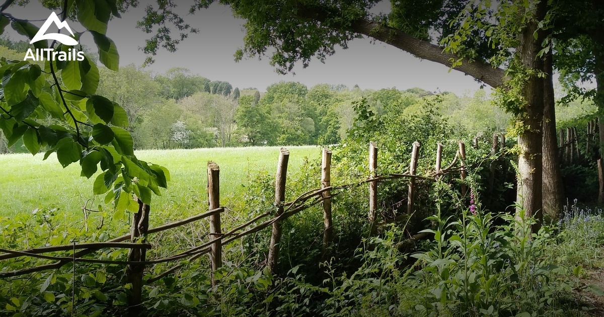 10 Best trails and hikes in Forest Row AllTrails