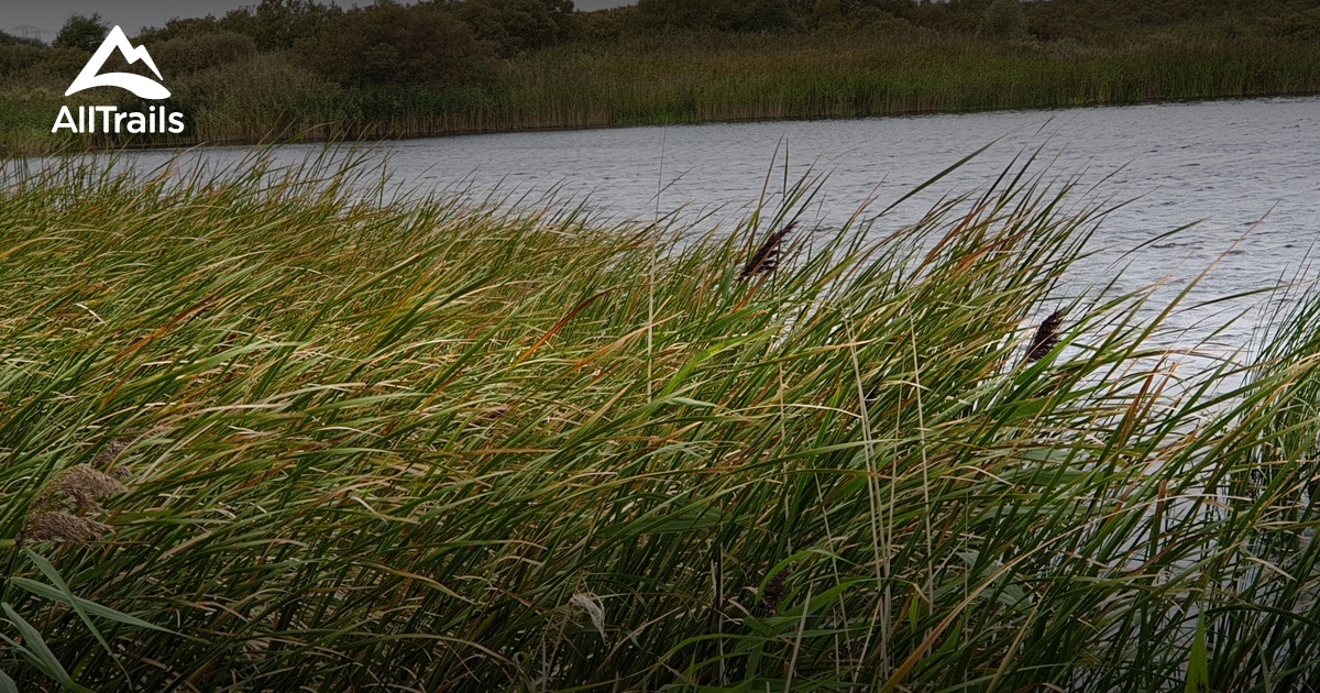 Best kid-friendly trails in Romney Marsh | AllTrails