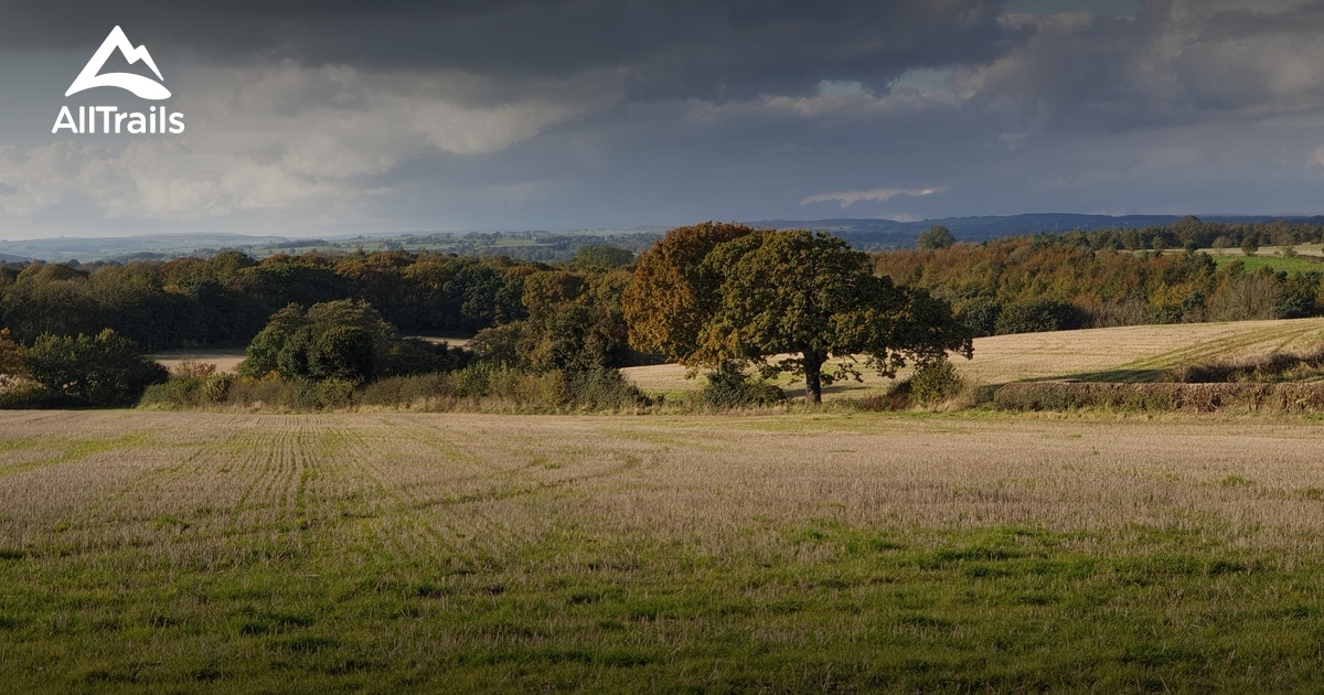 10 Best Trails, Walks, and Paths in Knaresborough | AllTrails