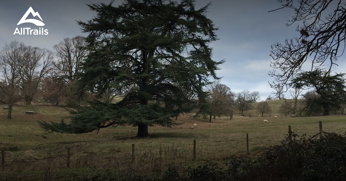 10 Best trails and hikes in Daventry | AllTrails