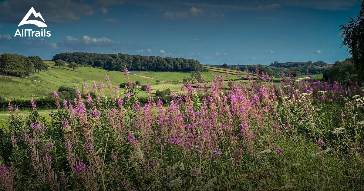 10 Best trails and hikes in Sutton-In-Ashfield | AllTrails