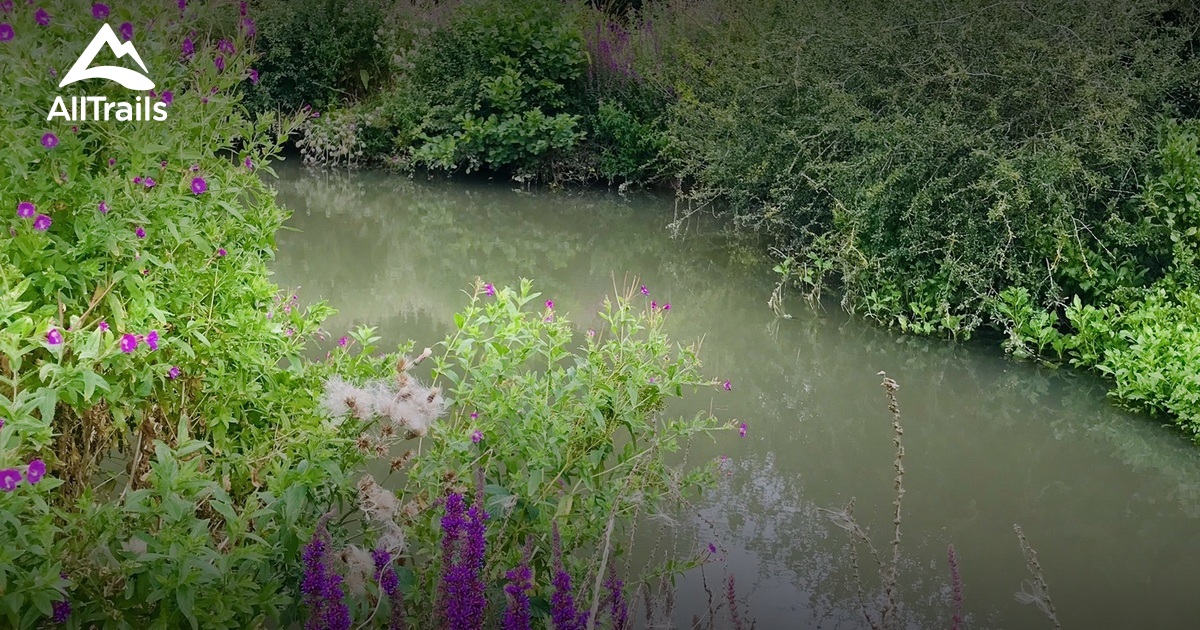 10 Best walking trails in Witney AllTrails