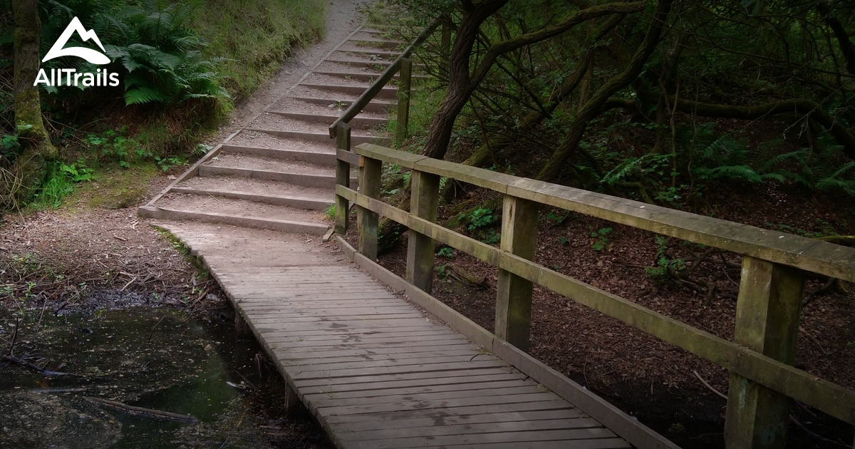 Best forest trails in Burntwood | AllTrails