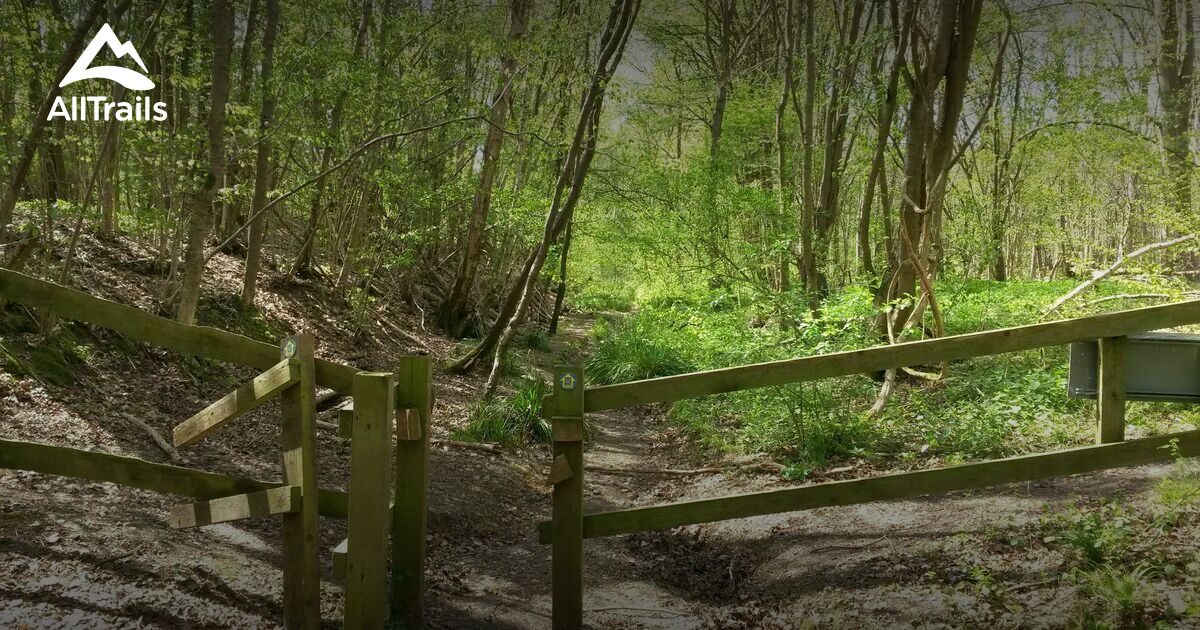 Best hikes and trails in Lavenham AllTrails