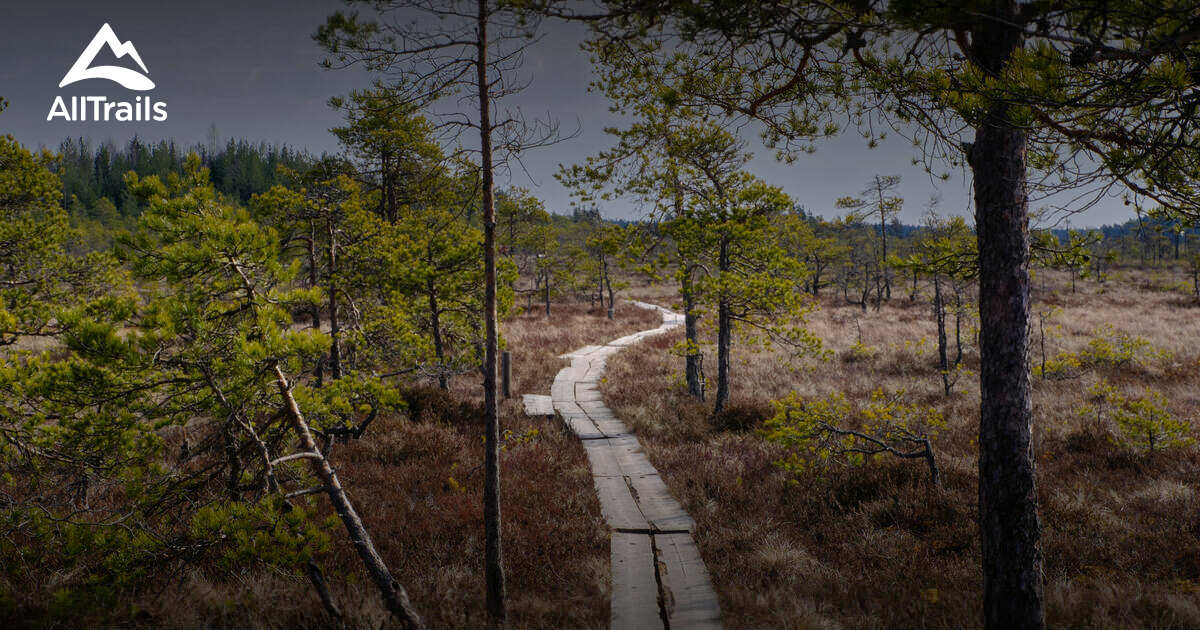 Pyhtää Best hikes and trails in Pyhtää | AllTrails