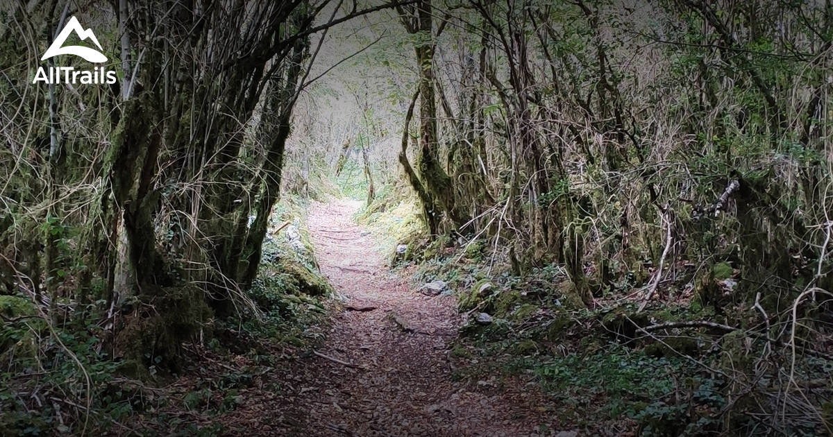 Montanges les meilleures randonnées avec un site historique AllTrails