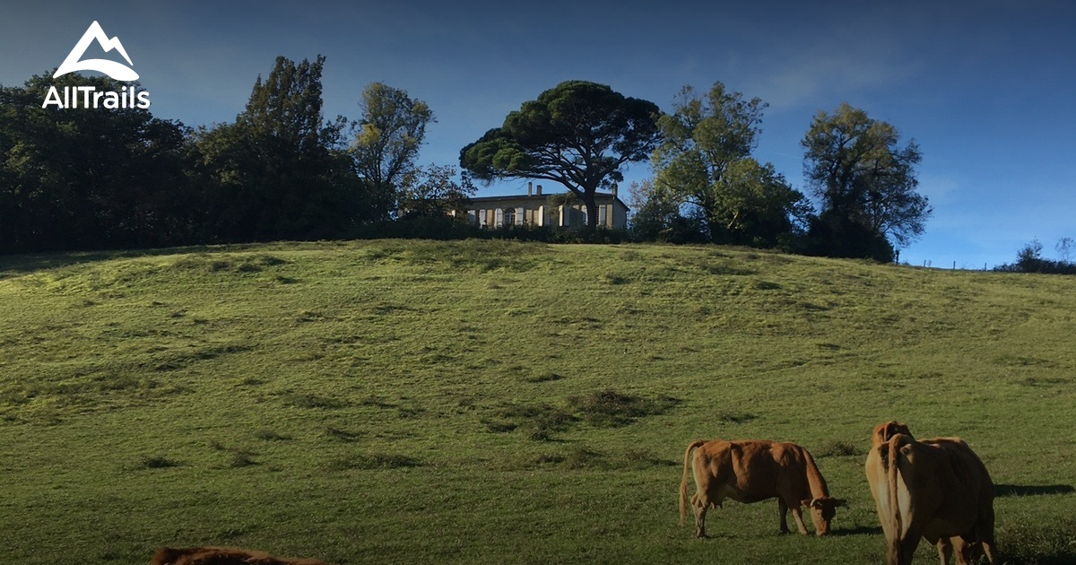 Bouliac les meilleures randonnées et itinéraires AllTrails
