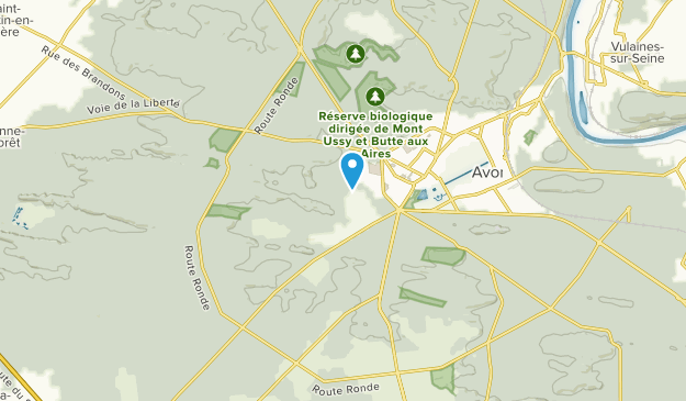 Fontainebleau, Île-de-France Map