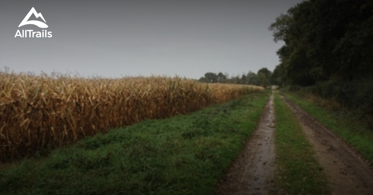 Best hikes and trails in Orgères AllTrails