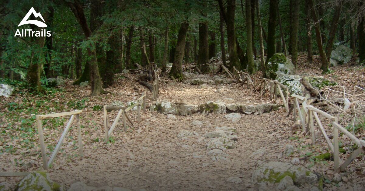 Plan-D'Aups-Sainte-Baume : les 10 meilleures randonnées et itinéraires ...