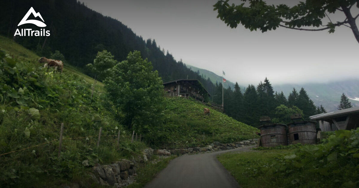 Fischen im Allgäu: Die 10 schönsten Routen zum Wandern | AllTrails