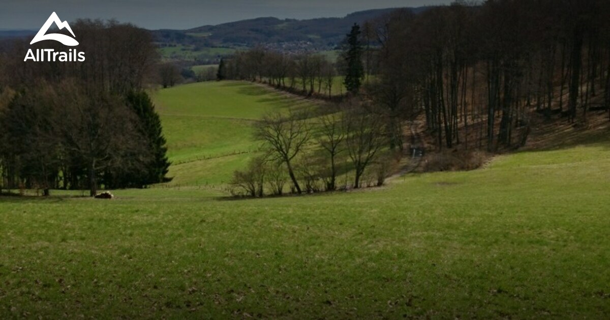 Darmstadt: Die 10 schönsten Routen zum Wandern | AllTrails