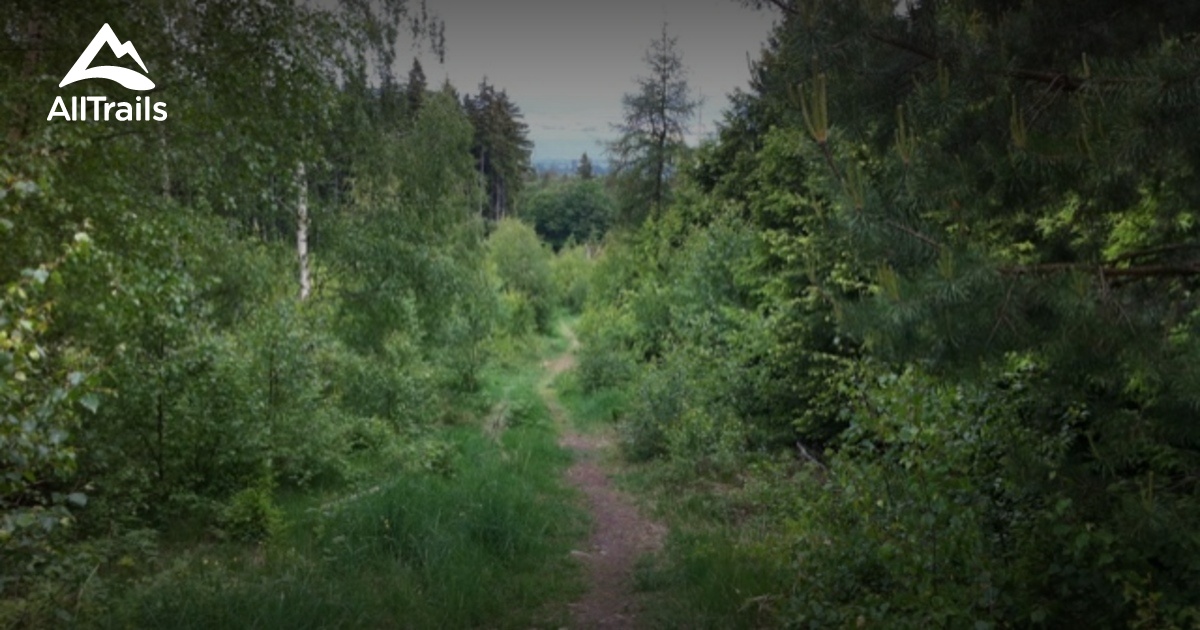 Best easy trails in Neu-Anspach | AllTrails