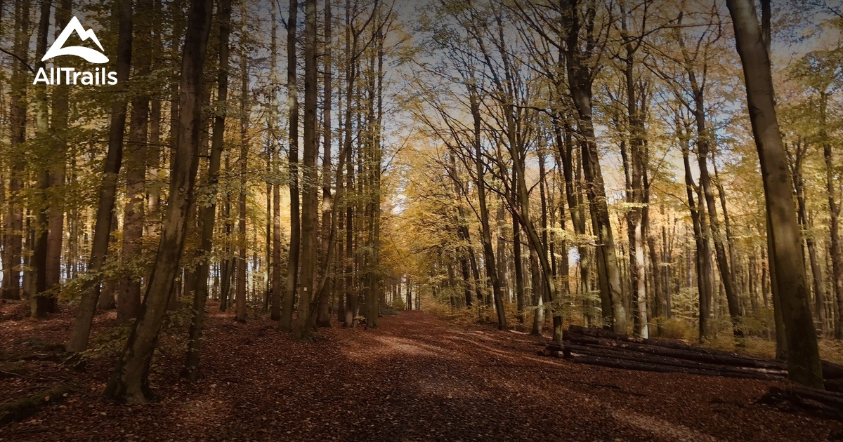 Kalletal: Die schönsten Routen zum Wandern | AllTrails