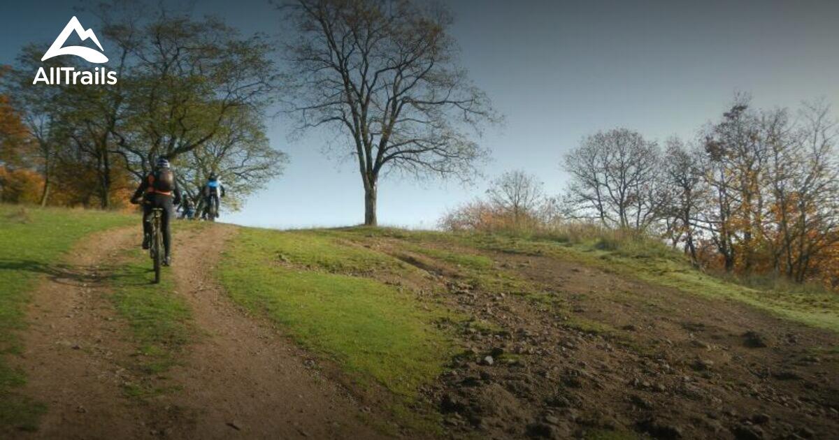 Bedesbach: Die schönsten Routen zum Wandern | AllTrails