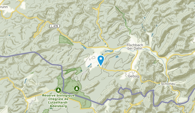 Ludwigswinkel, Rhineland-Palatinate Map