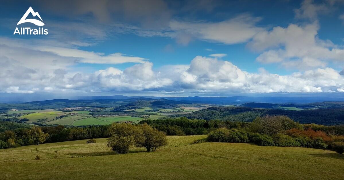 Best Trails, Walks, and Paths in Dermbach | AllTrails