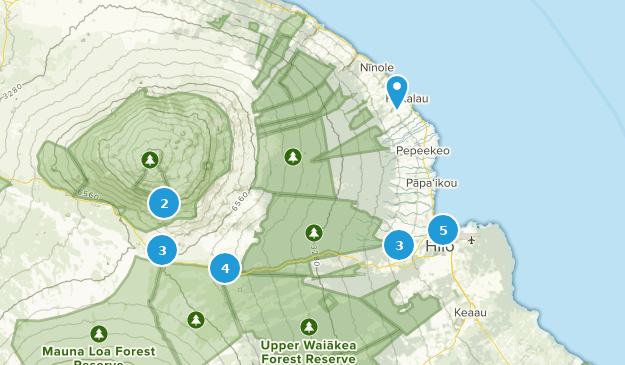 Hilo, Hawaii Map