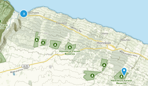 Honokaa, Hawaii Map
