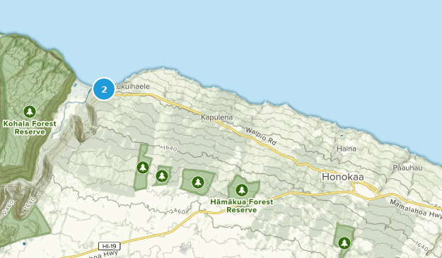 Honokaa, Hawaii Map