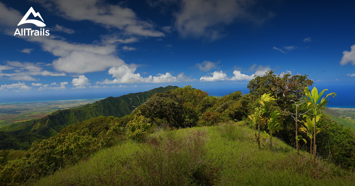 Best hikes and trails in Mililani AllTrails