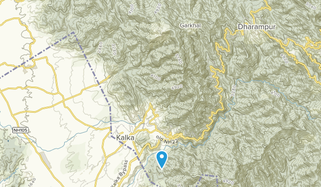Kasauli, Himachal Pradesh Map