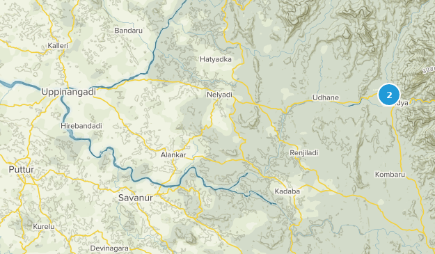 Puttur, Karnataka Map