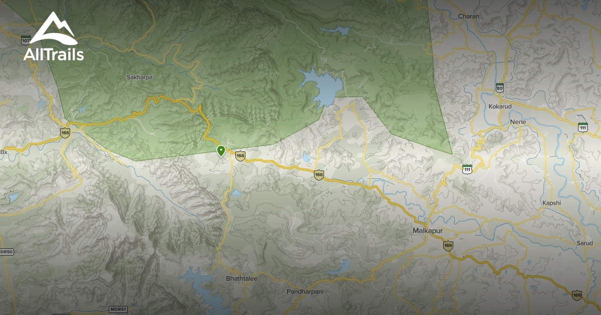 Best forest trails in Shahuwadi | AllTrails