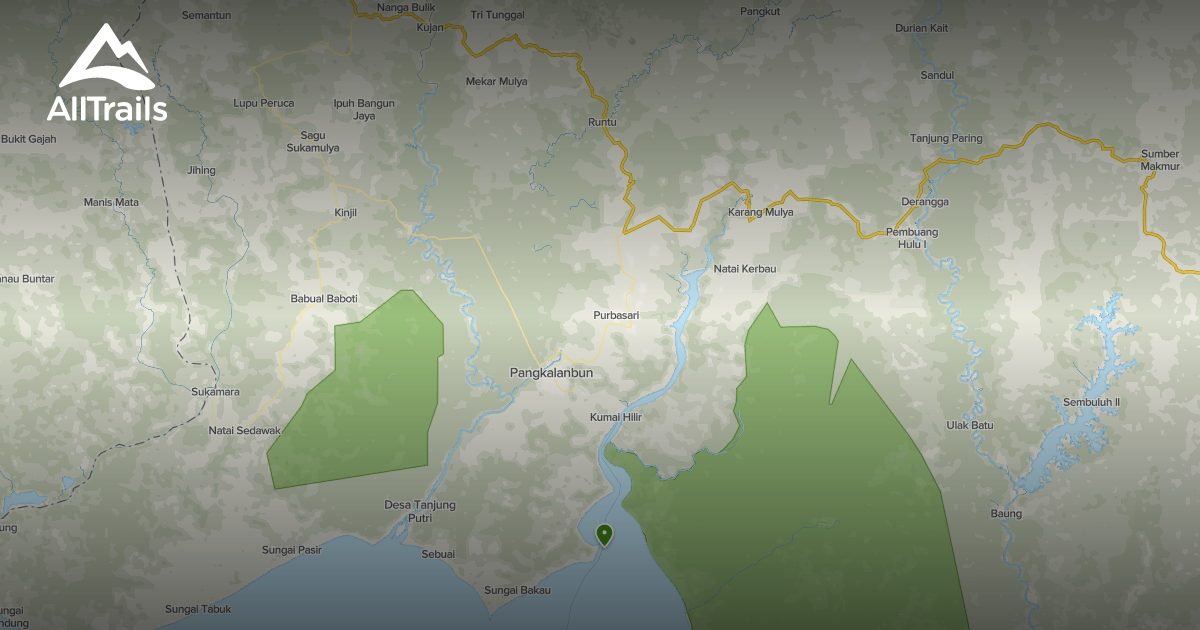 Best Walking Trails in Kotawaringin Barat AllTrails