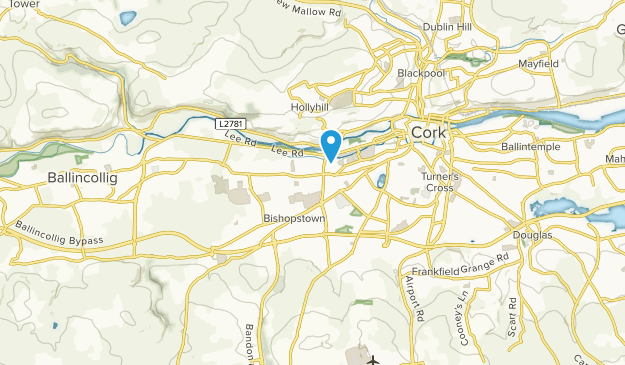 Bishopstown, County Cork Map