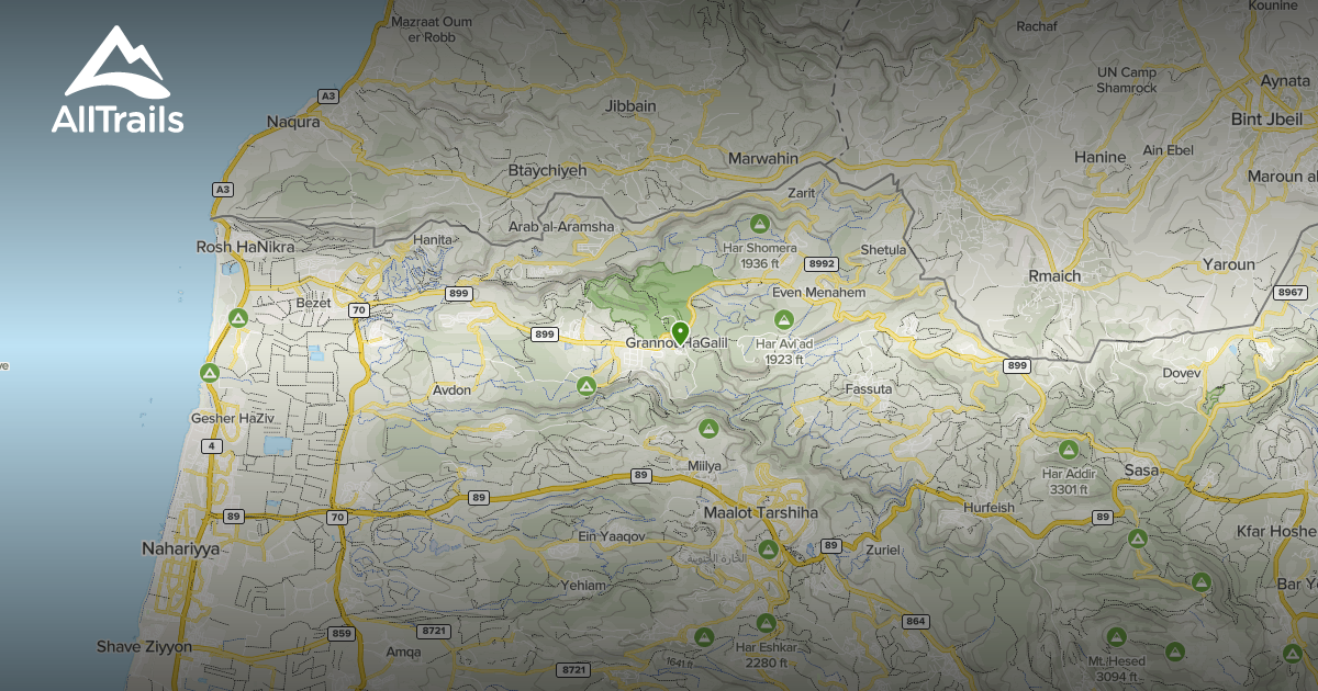 Best forest trails in Goren | AllTrails