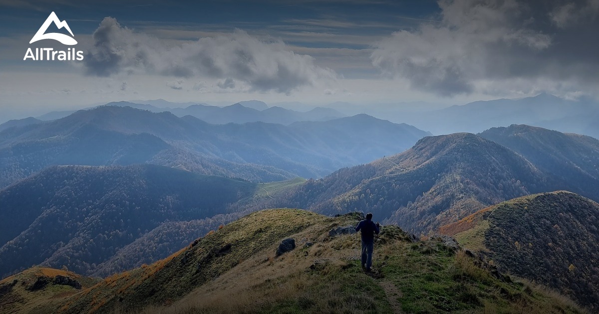 2023 Best Wild Flowers Trails in Quarna Sotto | AllTrails