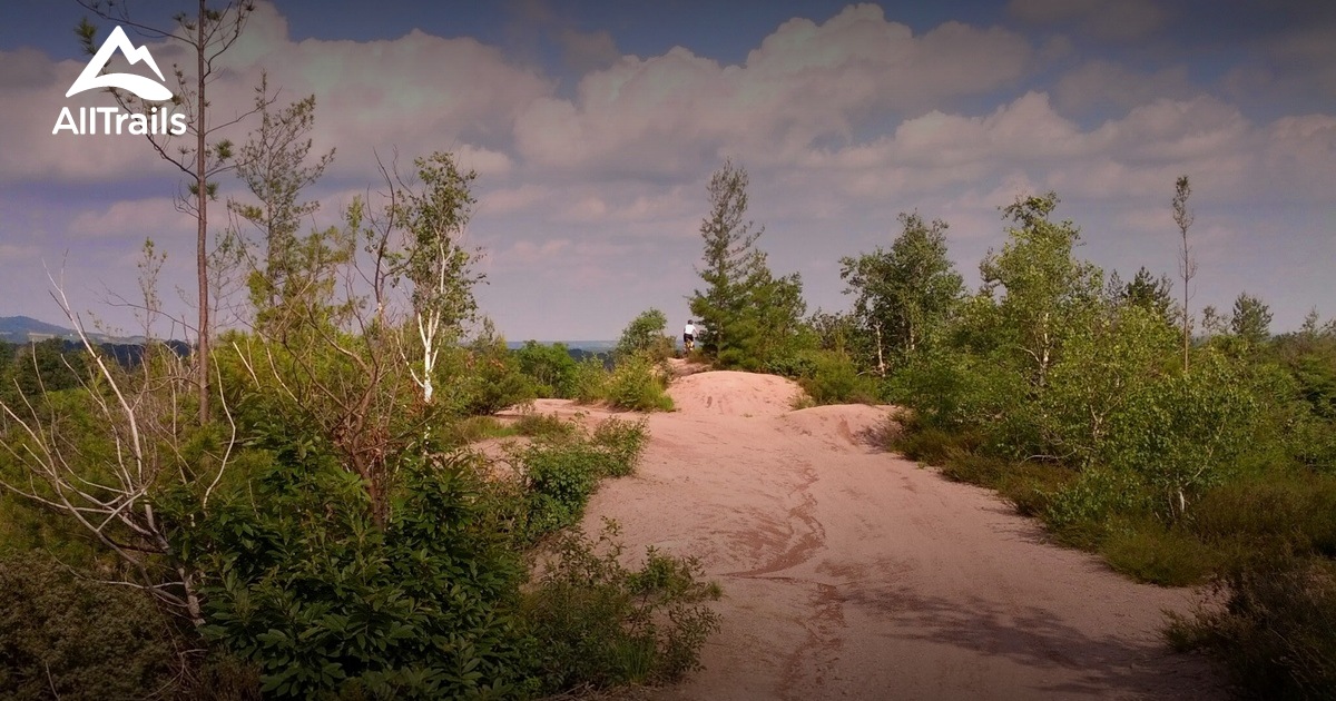 best-hikes-and-trails-in-roasio-alltrails