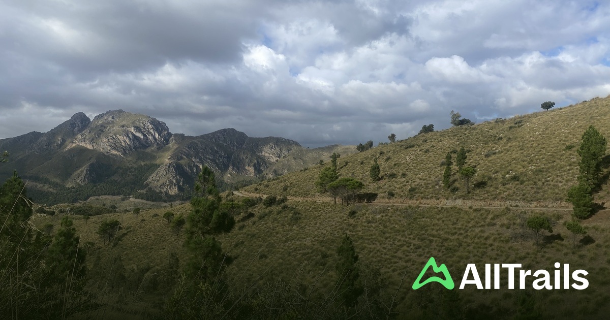 Best hikes and trails in Altavilla Milicia | AllTrails
