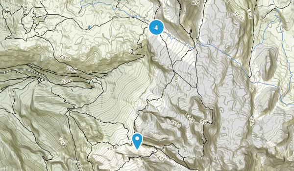 Palù, Trento Map
