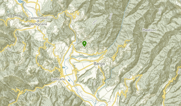 Trails Near Barga