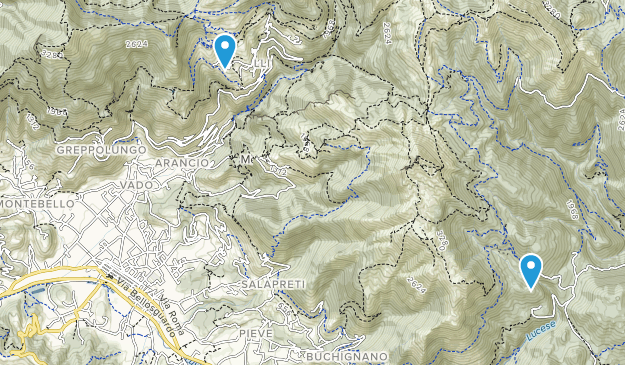 Camaiore, Tuscany Map