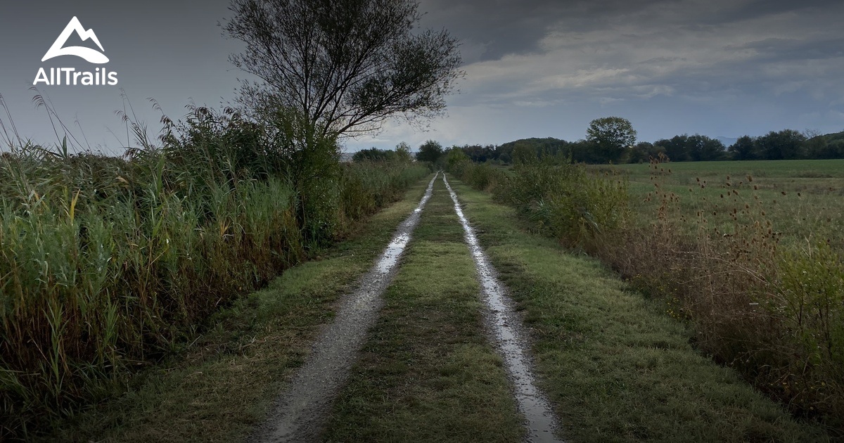 Best hikes and trails in Chiusi AllTrails