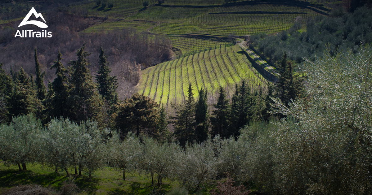 10 Best Trails and Hikes in Greve in Chianti | AllTrails