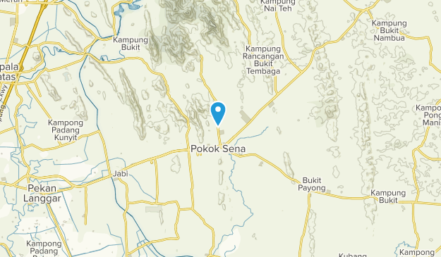 Pokok Sena, Kedah Map