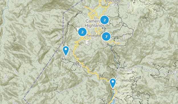Tanah Rata, Pahang Map