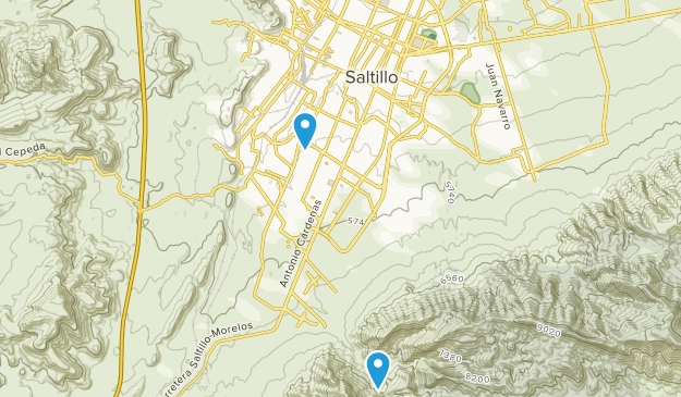Saltillo, Coahuila de Zaragoza Map