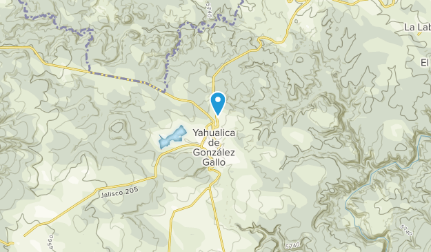 Yahualica de González Gallo, Jalisco Map