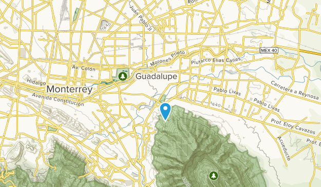 Guadalupe, Nuevo León Map