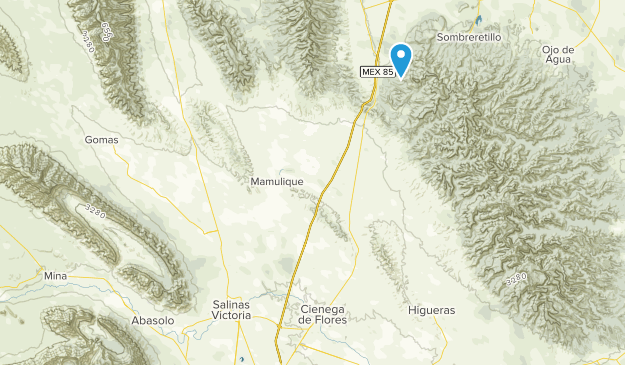 Salinas Victoria, Nuevo León Map