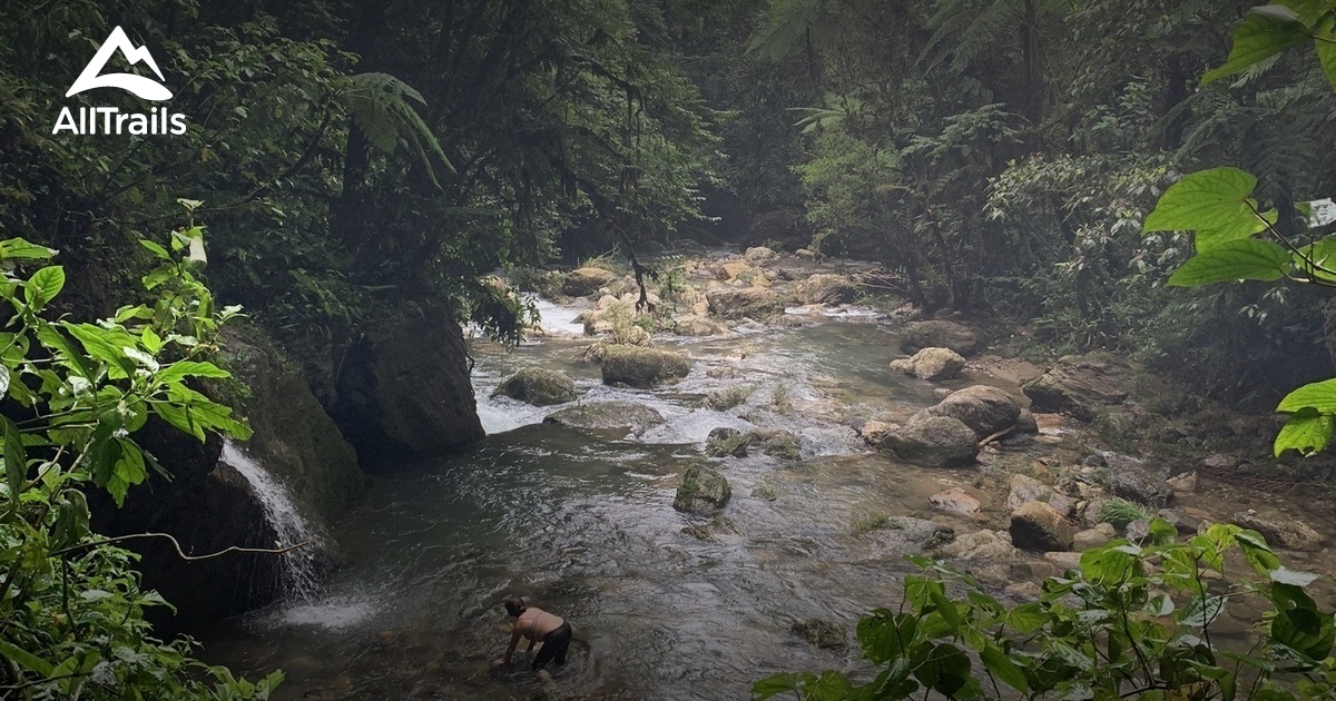 Cuetzalan del Progreso : les meilleures randonnées modérées | AllTrails