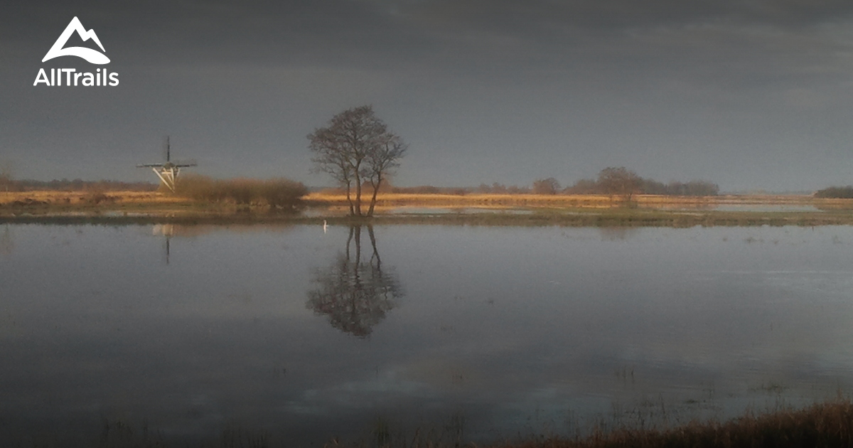 De beste wandelroutes om te wandelen in Hardegarijp | AllTrails