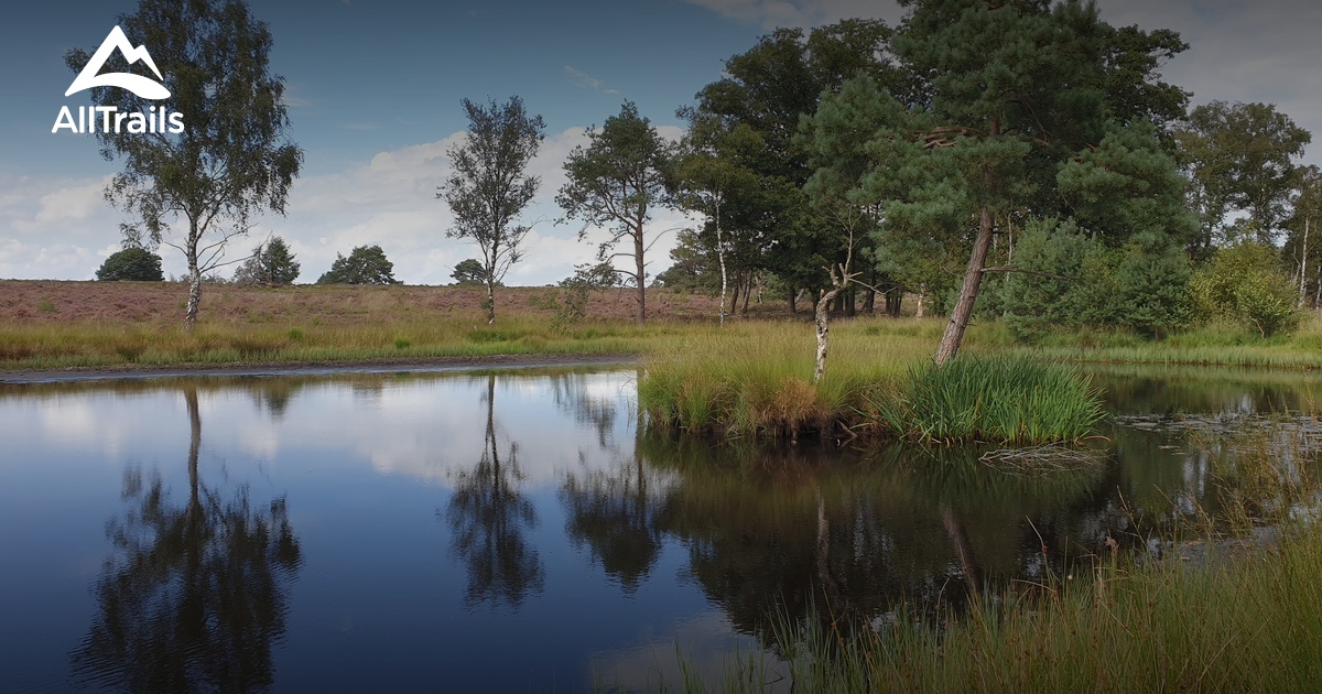 De 10 beste wandelroutes om te wandelen in Vierhouten | AllTrails